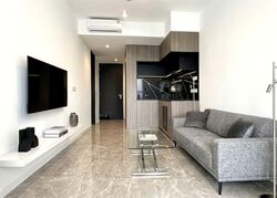 Irwell Hill Residences (D9), Apartment #580576151